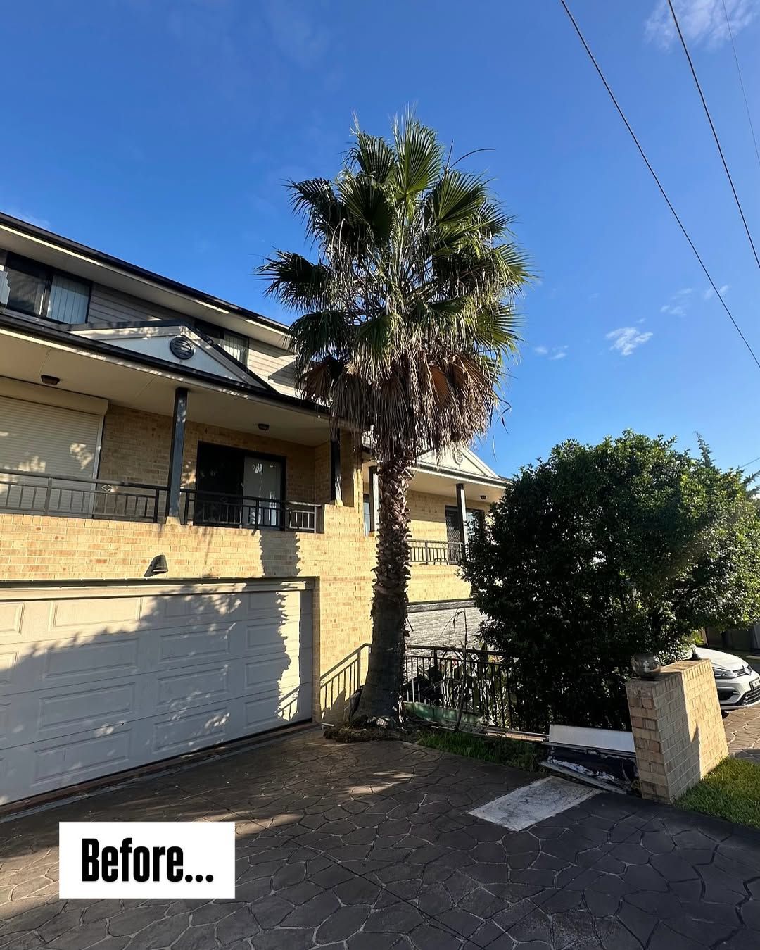 Overgrown palm tree crowding a two-storey home's driveway and garage before removal