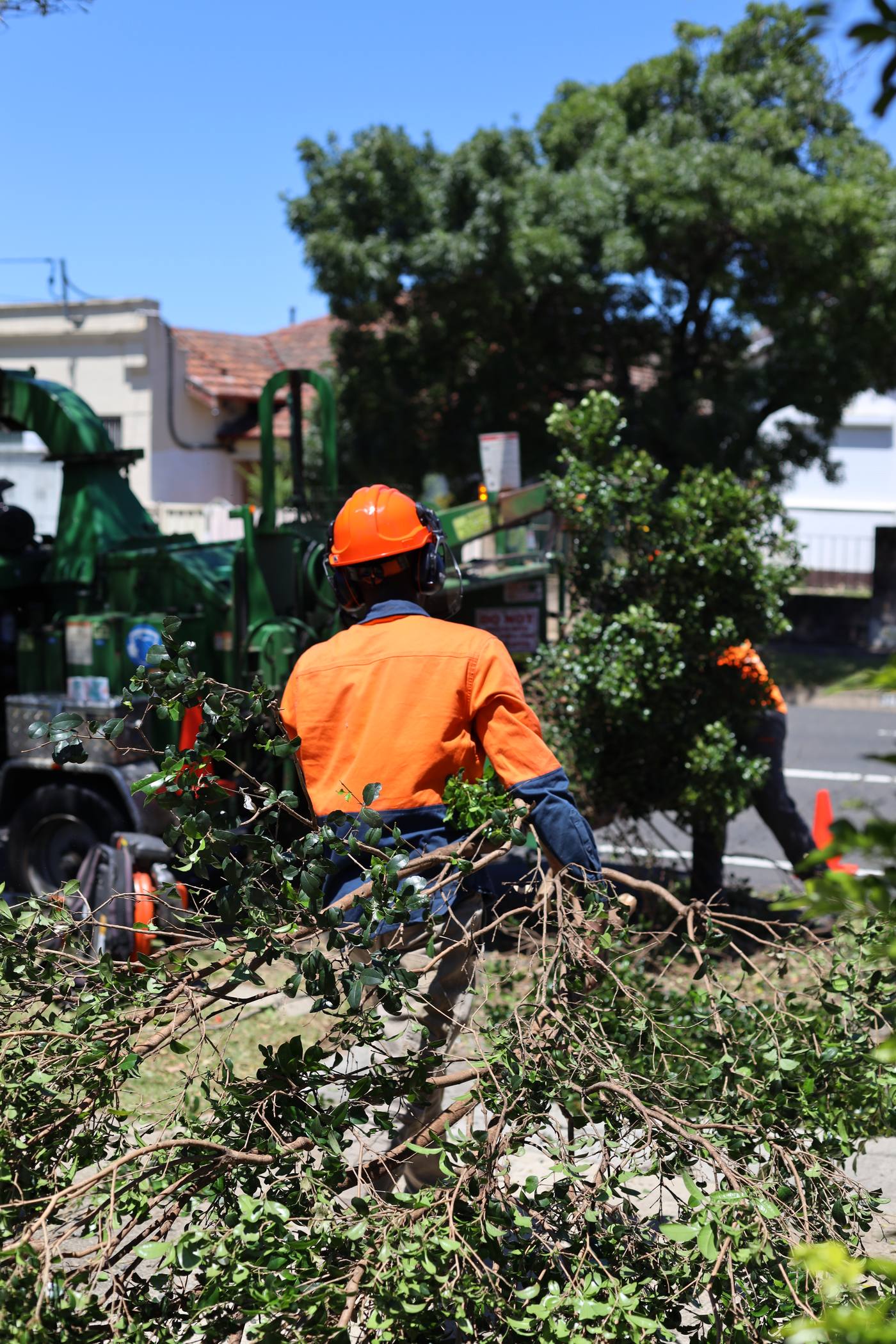 Crew trimming streetside growth with a bucket truck