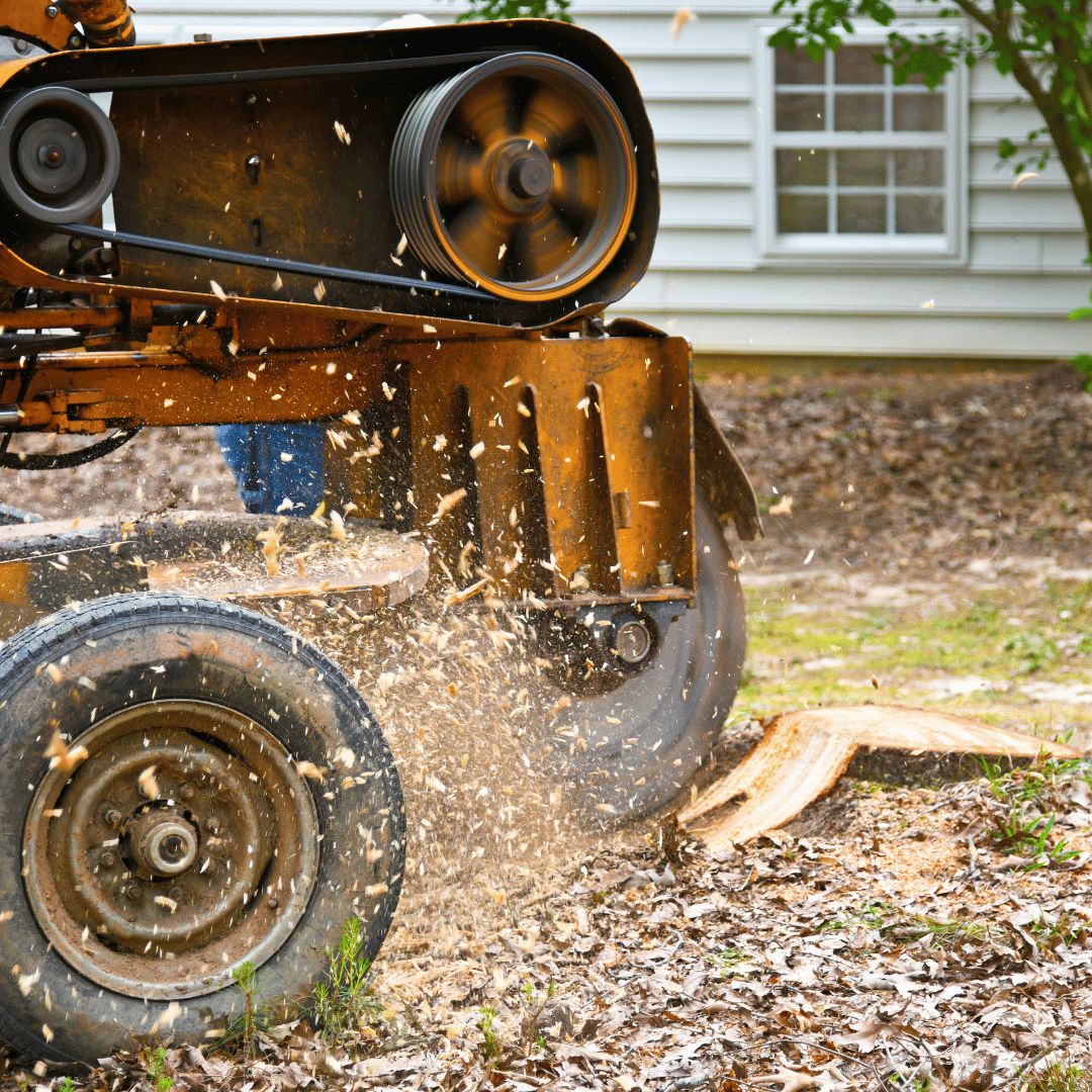 Stump grinder wheel clearing the last of a stump