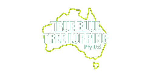 True Blue Tree Lopping logo